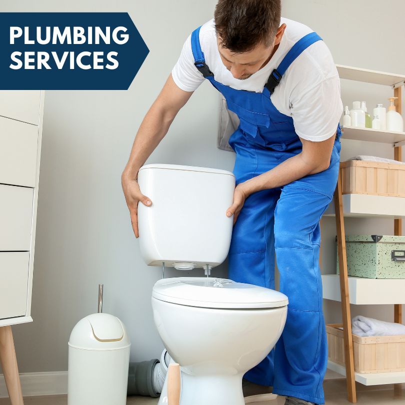 Plumbing Company in Danville, IA